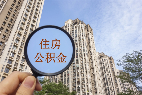 沧县离职取出公积（离职取出公积金要什么手续）